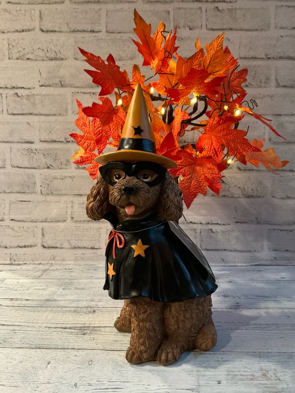 Humane World for Animals Dog Wearing Cloak and Witch Hat Decoration